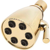Speakman Anystream® Icon 6-Jet Shower Head, Polished Brass Finish, 2.5 GPM