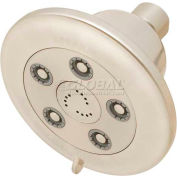 Speakman Anystream® Alexandria Wall Mount Shower Head, Brushed Nickel Finish, 2 GPM