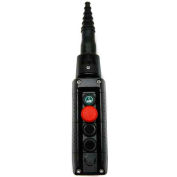 T.E.R., F70AB12020000001 MIKE Pendant, 4 Button, Black, 1-Speed Buttons
