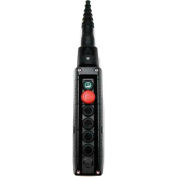 T.E.R., F70EB12040000001 MIKE Pendant, 6 Button, Black, 1-Speed Buttons