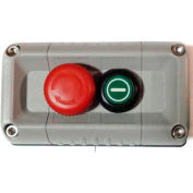 T.E.R., F71FG11000000001 VICTOR Wall Mount Control Station, Gray, 2 Hole, E-Stop + Start