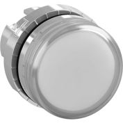 ABB Pilot Light Operator, 22mm, Clair