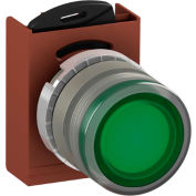 Opérateur de bouton-poussoir éclairé ABB, 22 mm, vert, style affleurant