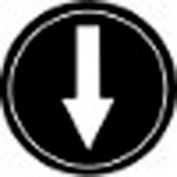 T.E.R., PRTA006MPI Single Arrow Black Button Insert, Use w/ MIKE & VICTOR Pendants