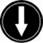 T.E.R., PRTA006MPI Single Arrow Black Button Insert, Use w/ MIKE & VICTOR Pendants