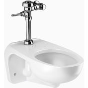 Sloan ST-2459 Wall Hung Toilet With ROYAL 111 Flushometer, 1.28 GPF