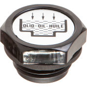 J.W. Winco 6312025 Nylon Plastic Threaded Plug with Fill Symbol - G 3/8" Pipe Thread