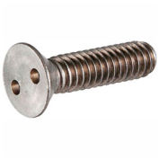 1/4-20 x 1-1/2" Security Machine Screw - Flat Spanner Head - 18-8 Stainless Steel - FT - 100 Pk