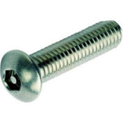 1/4-20 x 2-3/4" Security Machine Screw - Button Hex Socket Head - 302HQ/18-8 SS - FT - UNC - 100 Pk