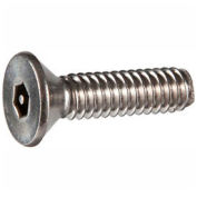 10-32 x 2" Security Machine Screw - Flat Hex Socket Head - 302HQ/18-8 Stainless Steel - FT - 100 Pk