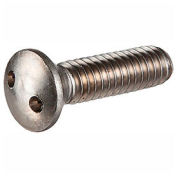 5/16-18 x 2-1/2" Security Machine Screw - Truss Spanner Head - 18-8 Stainless Steel - FT - 100 Pk