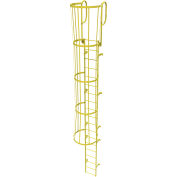 Échelle fixe à cage en acier WLFC1219-Y, 19 échelons, jaune