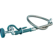 Douche de prérinçage B-0100 en laiton T&S avec tuyau en acier inoxydable souple