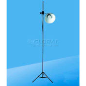 Daylight™ Artist Studio Lamp & Stand, Brushed Chome