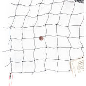Bird Barrier® StealthNet® 2" Standard Bird Netting, 100'L x 100'W, Black