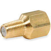 Pic Gauges Filter Type Pressure Snubber, 1/4" NPT, Acier inoxydable/Brass, BW42