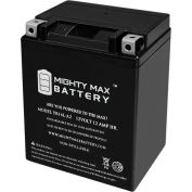 Mighty Max Battery YB14L 12V 12AH / 210 CCA BATTERY
