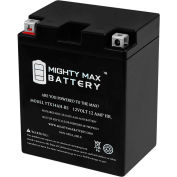 Mighty Max Battery YTX14 12V 12AH / 210CCA Battery