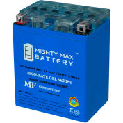 Mighty Max Battery YTX14 12V 12AH / 210CCA GEL Battery