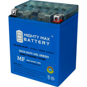 Mighty Max Battery YTX14 12V 12AHL / 210CCA GEL Battery