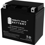 Mighty Max Battery YTX14L 12V 12AH / 200CCA Battery