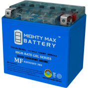 Mighty Max Battery YTX14L 12V 12AH / 200CCA GEL Battery