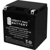 Mighty Max Battery YTX30L 12V 30AH / 385CCA Battery