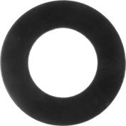 Ring Viton Flange Gasket for 6" Pipe-1/16" Thick - Classe 150