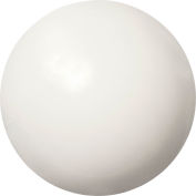 Acetal Plastic Ball - 1" Diamètre - Pack de 10