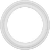 Clean Room FDA Téflon Sanitary Gasket For 2" Tube