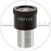 Euromex HWF 10x/20 mm Oculaire w / 10/100 Micromètre & Cross Hair pour BScope, Φ Tube de 23 mm