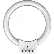 AmScope FRL12B 12W Fluorescent Ring Light Bulb