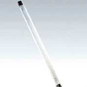 Ushio 3000009 G30t8, ampoule germicide, T8, 30 Watts, 8000 heures, qté par paquet : 10