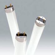 Ushio 3000099 F32t8/830, 48" 86cri, T8, 32 Watts, ampoule de 24000 heures, qté par paquet : 25