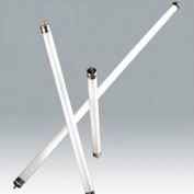 Ushio 3000381 F21t5/841, 34" 85cri, T5, 21 Watts, ampoule de 20000 heures, qté par paquet : 25