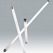 Ushio 3000383 F28t5/830, 46" 85cri, T5, 28 Watts, ampoule de 20000 heures, qté par paquet : 25