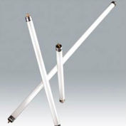 Ushio 3000384 F28t5/841, 46" 85cri, T5, 28 Watts, ampoule de 20000 heures, qté par paquet : 25
