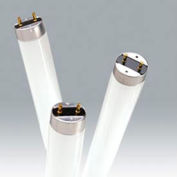 Ushio 3000524 Ufl-F32t8/850, haute lumière, 32 Watts Ampoule, qté par paquet : 25