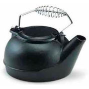 Bouilloire pour le thé Vogelzang, TK-02, 3 Qt pour poêle chauffe