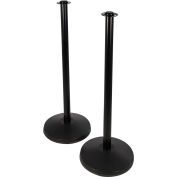 Visiontron premier Post plat classique noir, 37-1/2" H, 2/PACK