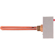 Vulcan Screw Plug Immersion Heater WTP910A 1500W 110° - 190° 10-1/8" x 14-1/8" Dia.
