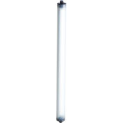 Waldmann LED Tube Light RL70LE-60 N, LED, 22-26V DC, 31,5W, Acrylique, 31 »