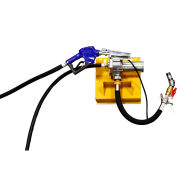 Western Global 115 Volt 12 Gallon Per Minute Pump Kit with fittings