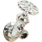 Whitecap 3/4" GHT x 1/2" IPT (Large) Raw Water Washdown Sillcock, Chrome Plated Brass - P-2453