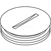 Wiremold 825a-1 Floor Box 800 Series Abandon Plug, Brass, 1" - Pkg Qty 10