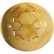 Wiremold 895 Floor Box Cover Plate, Brass, W/Duplex Flip Lids, For Carpet