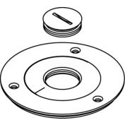 Wiremold 896TCK Floor Box Cover Plate, Brass, For Tile W/2 1/4" Opening