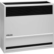 Williams à évacuation directe gravité four 2203822 gaz naturel 22000 BTU