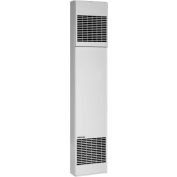 Williams Forsaire contre-courant four 3144030 électrique 9,2KW 31400 BTU