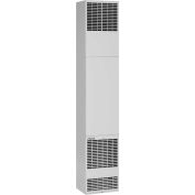 Williams Forsaire Direct-Vent contre-courant four 4007332 gaz naturel 40000 BTU